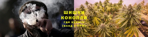 дживик Кострома