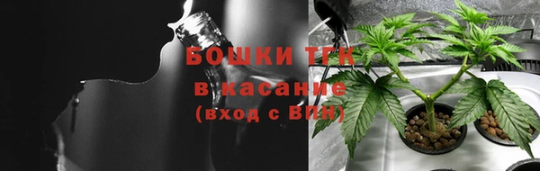 ГАЛЛЮЦИНОГЕННЫЕ ГРИБЫ Ладушкин