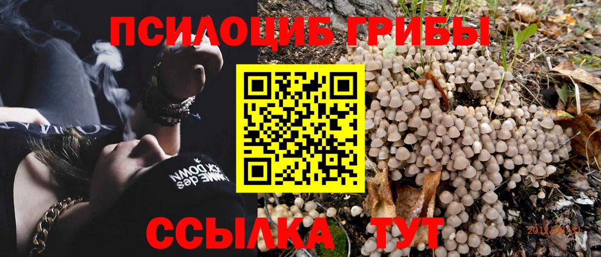 Галлюциногенные грибы MAGIC MUSHROOMS  Кушва 