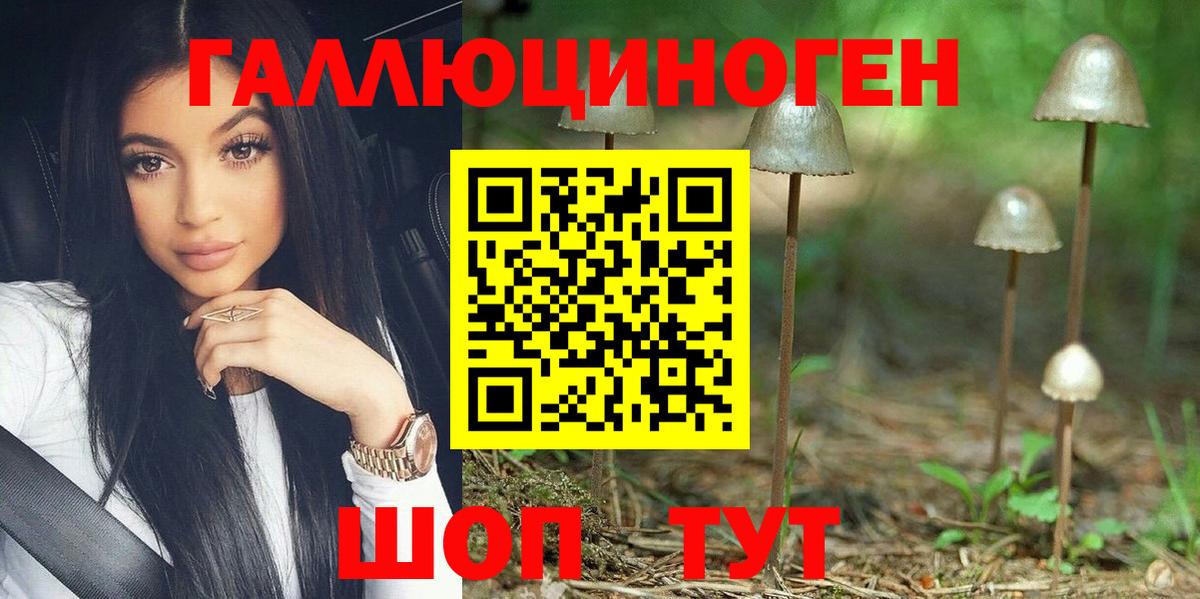 Галлюциногенные грибы Psilocybe Кушва